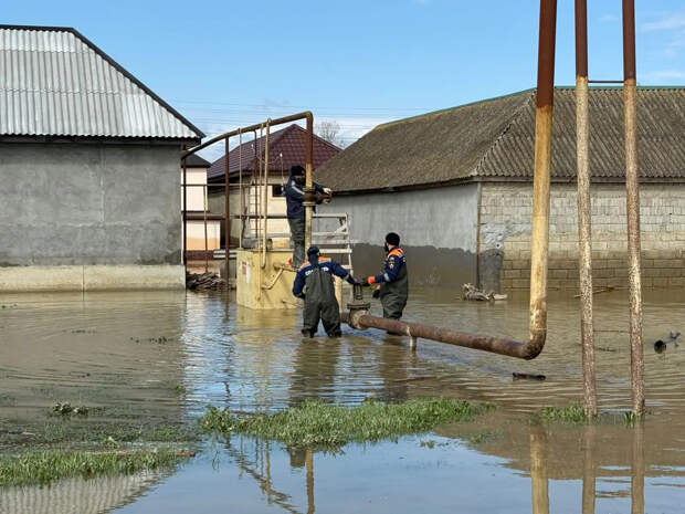 Авито направит 100 тонн питьевой воды в Дагестан