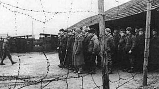 Палачи в клетке восстание.Солженицын, гулаг, история