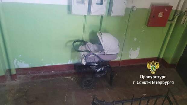 Суд выслушает петербурженку, бросившую дочь в коляске на лестничной площадке