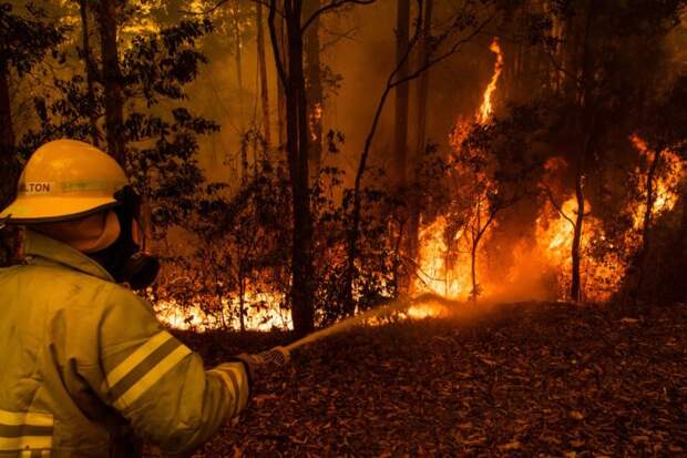 Австралия в огне! Что происходит с природой?