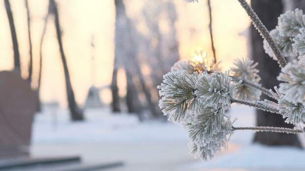 Алтайский край встретит выходные ночными морозами до -25 градусов