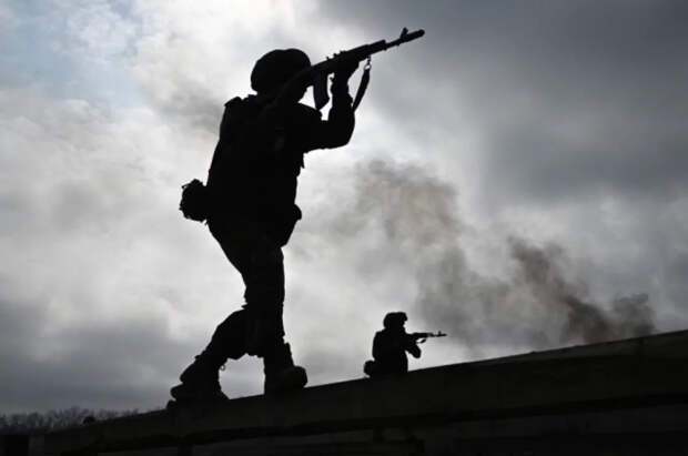 Казнят гонцов Сырского: готов ответ на план нового наступления ВСУ