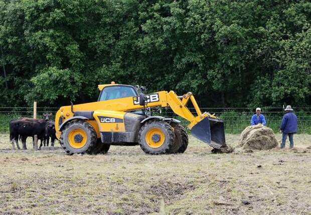 В Ленобласти планируют засеять яровыми около 70 тысяч гектаров