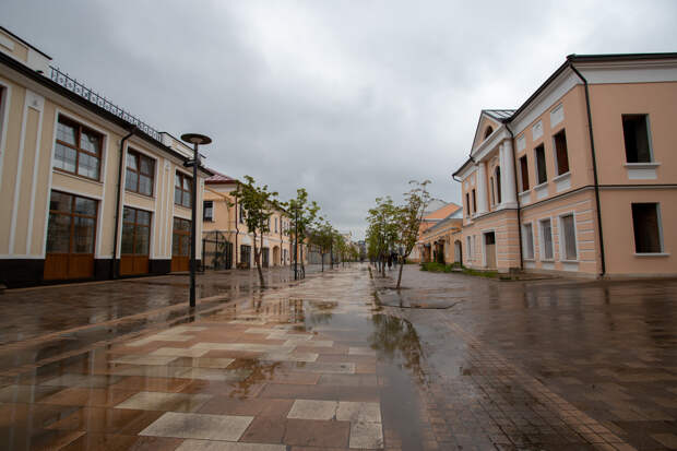 Дождь со снегом ожидаются в Туле и области 20 апреля