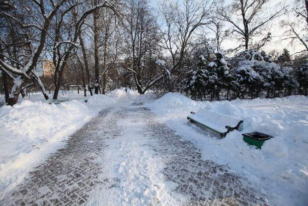 Парк/фото из архива редакции