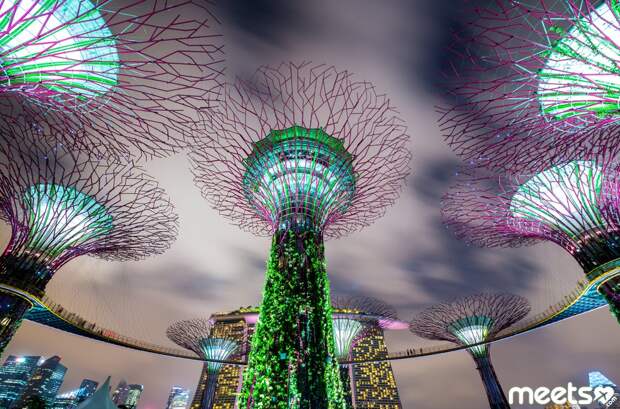Gardens by the Bay, Singapore Gardens by the Bay