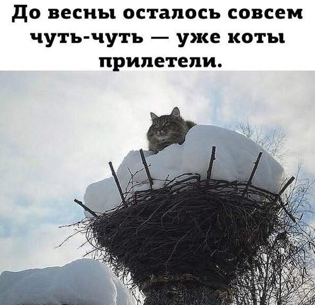 Давайте улыбаться вместе