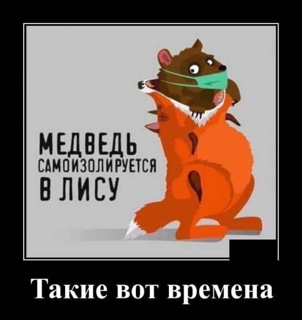 demotivatory-demotivator-smeshnye-demotivatory-demotivator-so-smyslom