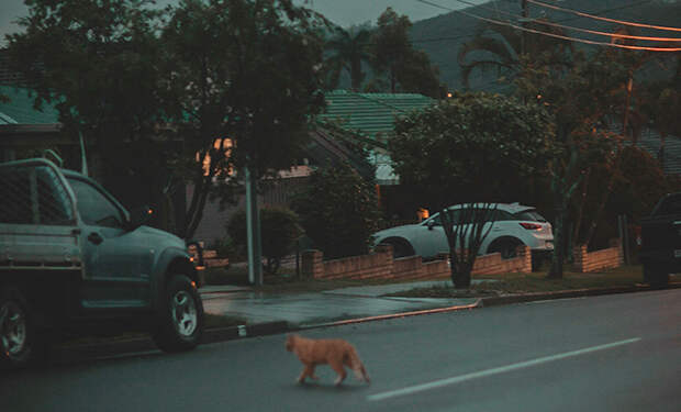 Источник фото: Unsplash