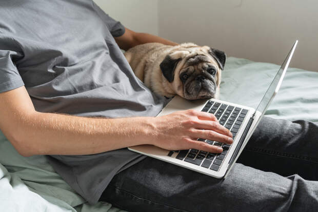 Названы претендующие на удаленную работу категории россиян