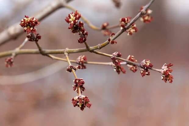 В Тульской области действует оранжевый уровень погодной опасности из-за потепления