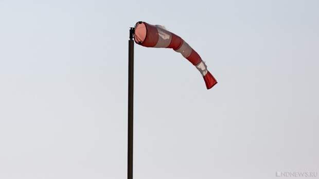 В Москве ожидается умеренно теплая неделя с превышением климатической нормы