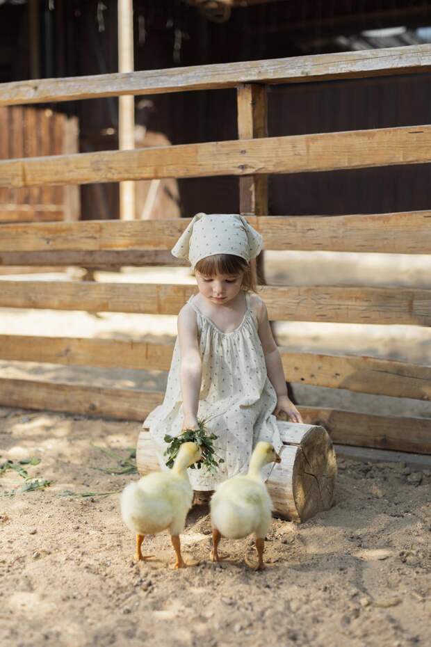 Фото: пресс-служба