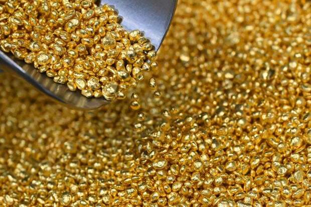 Фото: РИА Новости/Илья Наймушин