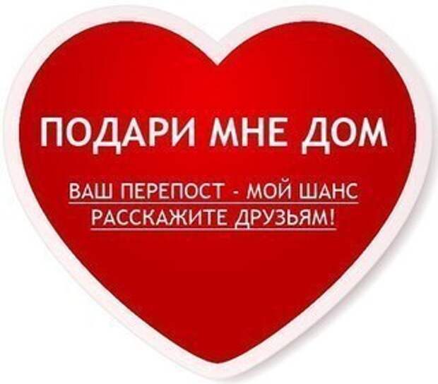 Красавица потеряла свой дом из за аллергии...