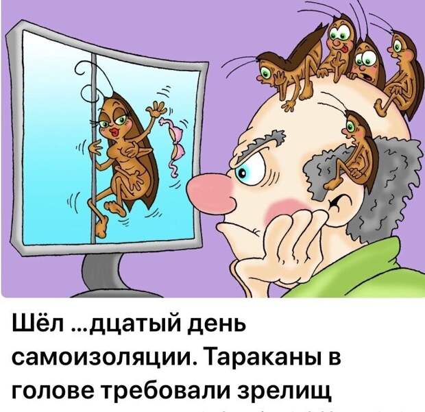 Политические комментарии из инета