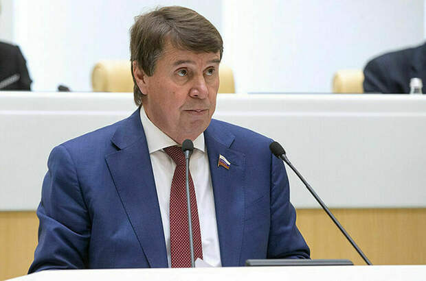 Сенатор Цеков: Зеленский не считает Украину своей родиной