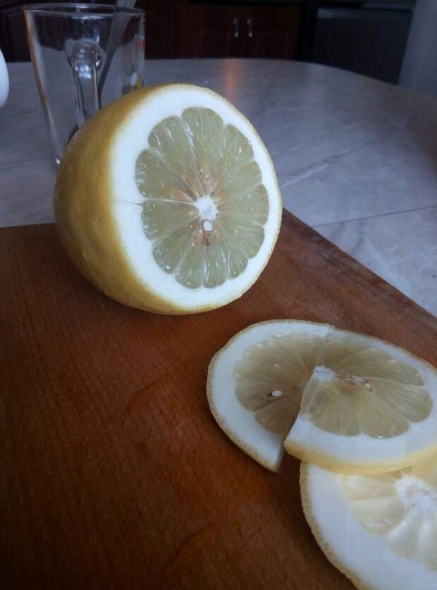 История одного лимона лимон, растениеводство, выращиваем дома, цитрус, красота, фотография, процесс выращивания, длиннопост