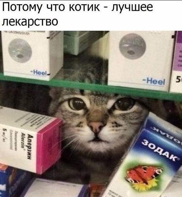 Давайте улыбаться вместе