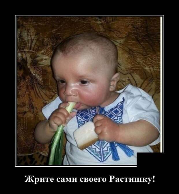 demotivatory-demotivator-smeshnye-demotivatory-demotivator-so-smyslom
