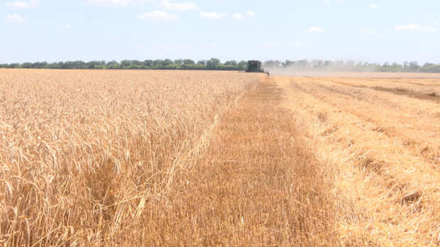 И тут повезло уже России. Торги в Чикаго принесли неожиданные новости