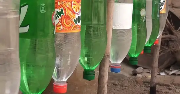 Капельное орошение с помощью пластиковых бутылок | Строительный портал luchistii-sudak.ru | Дзен