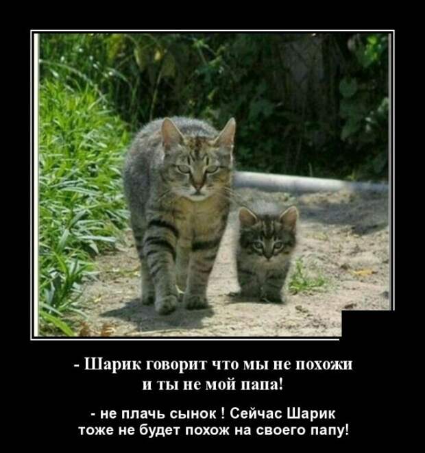 Демотиваторы 15 октября 2021 года