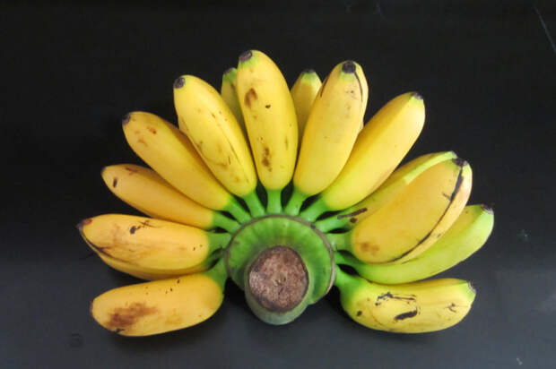 Вареные и копченые: почему в Венесуэле бананы считаются овощем, а не фруктом