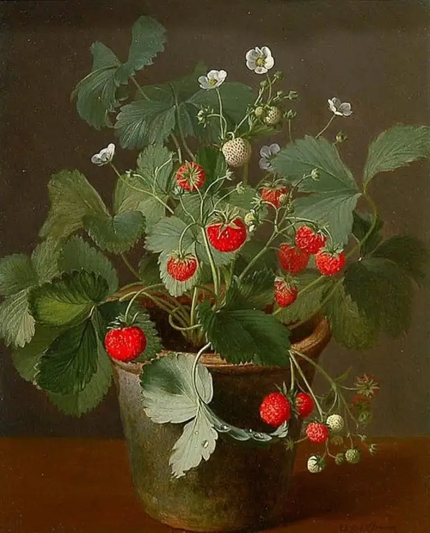  Otto Diderich Ottesen (1816-1892).   