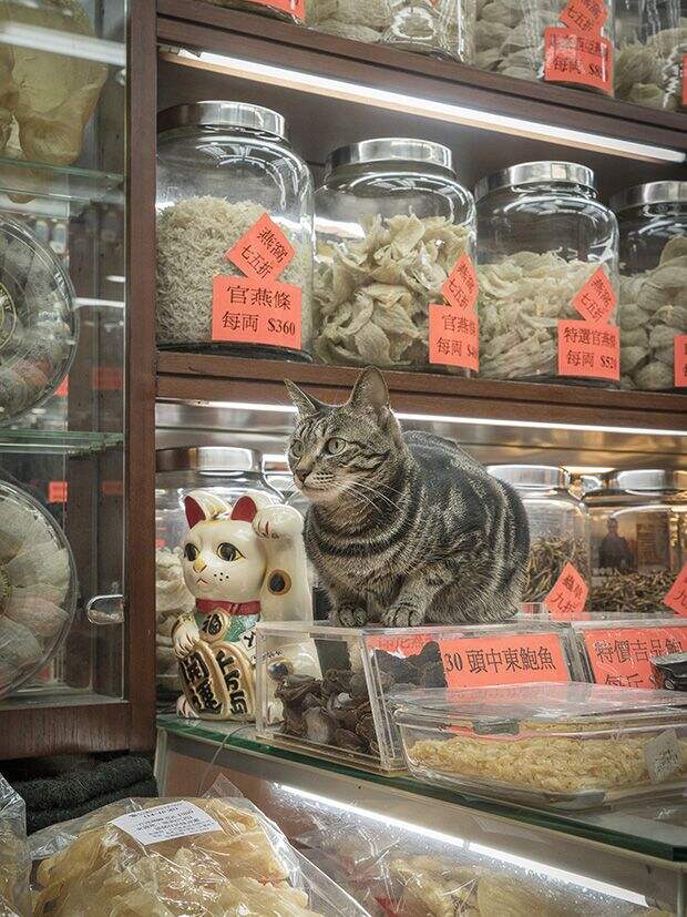 яяя123