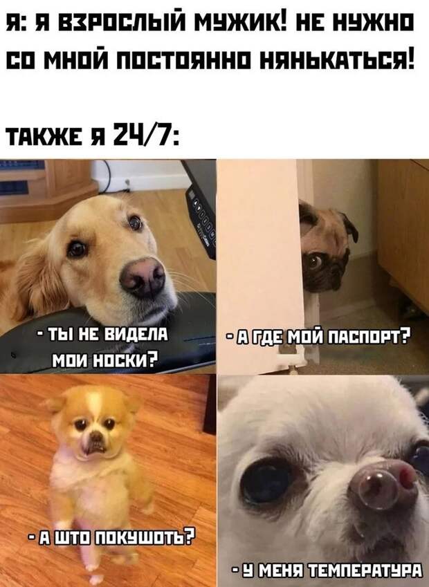7. Не очень приятно осознавать, но эти интернет-тролли в чем-то очень правы 7. Не очень приятно осознавать, но эти интернет-тролли в чем-то очень правы