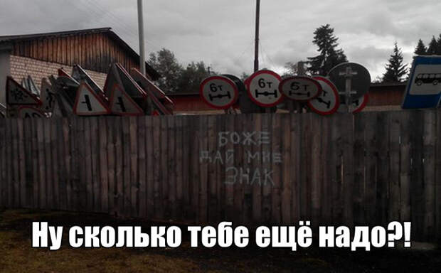 Прикольные картинки. Дневной выпуск (50 фото)