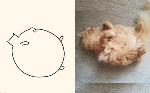 парень плохо рисует кошек но у него получается так похоже, DailyPrrr