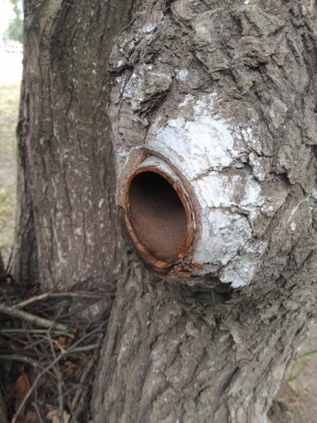 Приколы про Челябинск