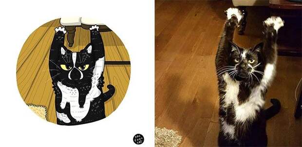 Художница рисует пародии на кошек-звёзд интернета