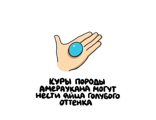 Короткие и интересные факты на все случаи жизни