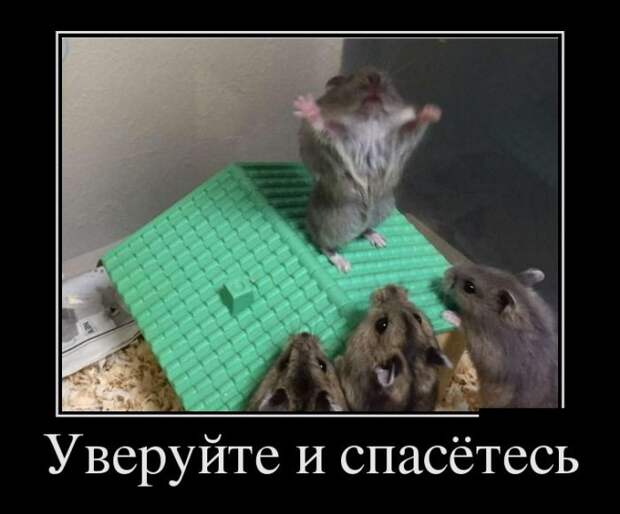 Демотиваторы (30 фото)