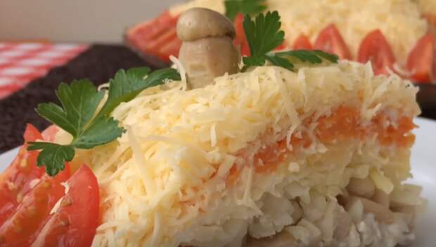 Фото: zen.yandex.ru/olgamatvey