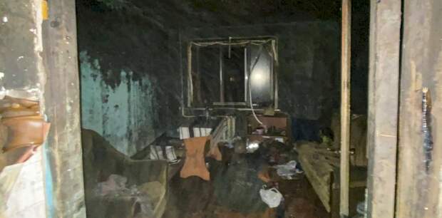 Алтайские пожарные спасли 11 детей из загоревшегося дома