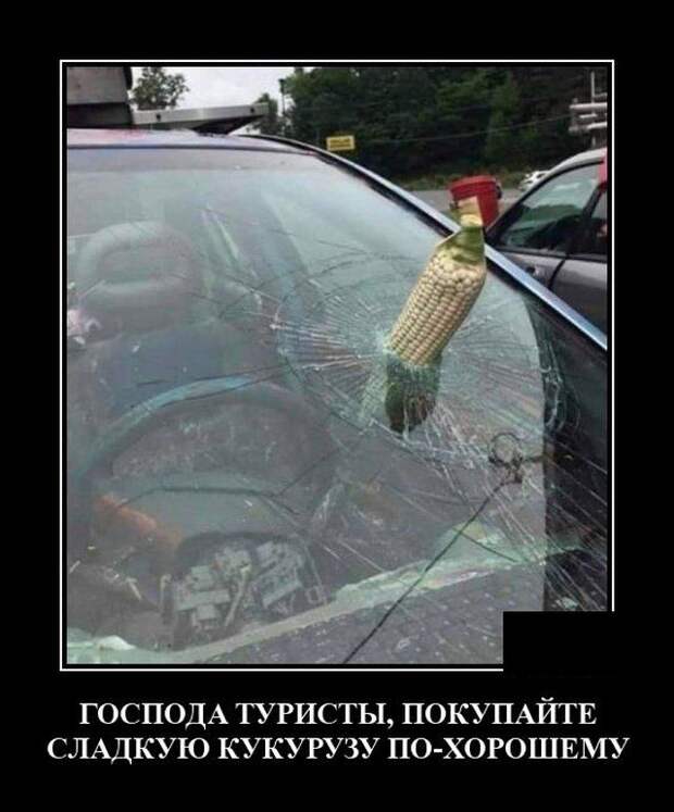 demotivatory-demotivator-smeshnye-demotivatory-demotivator-so-smyslom