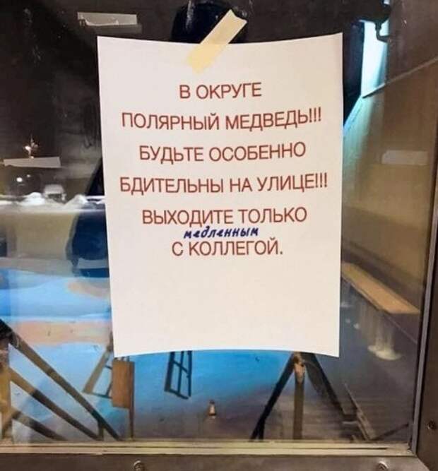 Дописочка