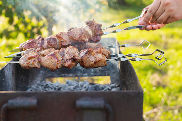 ПНИПУ: для снижения риска рака шашлык необходимо употреблять с зеленью
