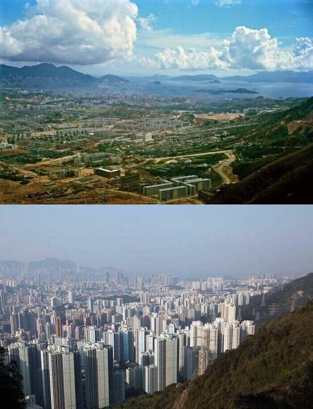 Полуостров Коулун, Гонконг. Сравнение 1964-2016 гг.