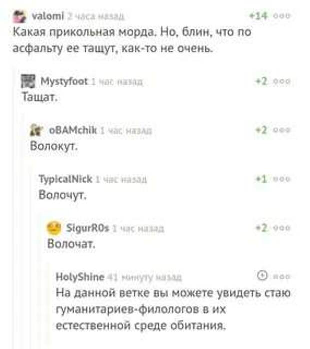 Смешные комментарии. Подборка chert-poberi-kom-chert-poberi-kom-55080416012021-5 картинка chert-poberi-kom-55080416012021-5