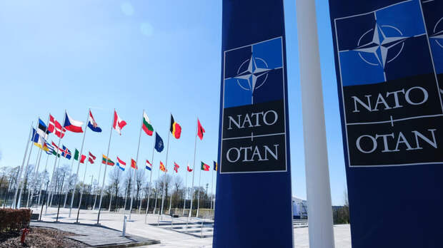 Министр обороны Бельгии Франкен счел НАТО бумажным тигром