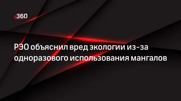 РЭО объяснил вред экологии из-за одноразового использования мангалов
