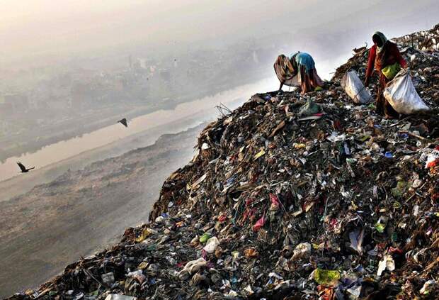 Чудовищная гора мусора в Индии скоро станет выше Тадж-Махала