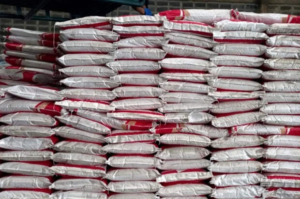 В первом квартале 2026 года экспорт удобрений из России вырос на 16%