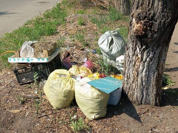 В Чите готовятся к масштабному общегородскому субботнику