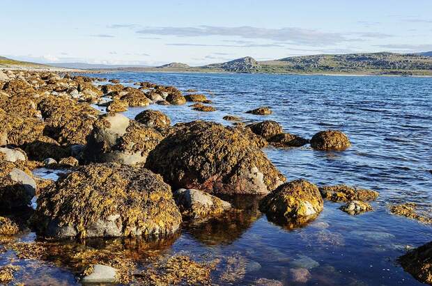 Увезу тебя я в тундру. Полуострова Рыбачий и Средний в Мурманской области